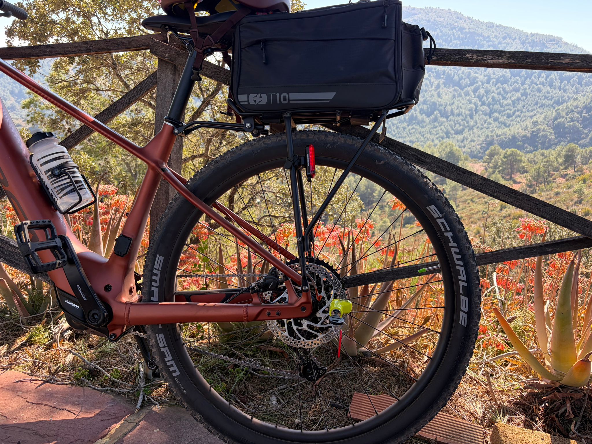 whatsapp image 2026 02 22 at 19.14.57