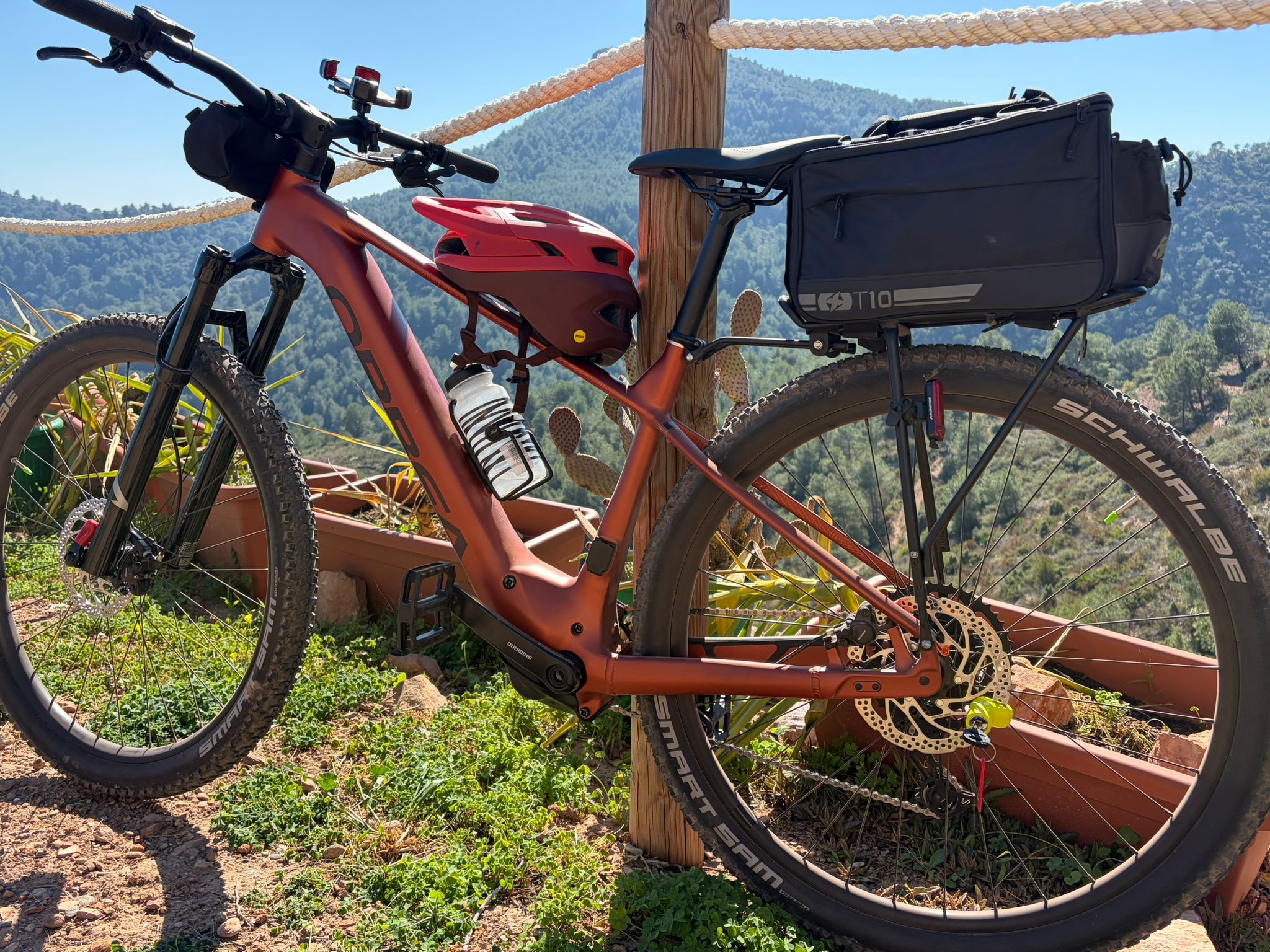 whatsapp image 2026 02 22 at 19.19.32(1)