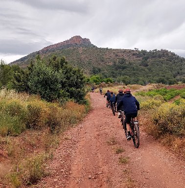 Bicicletas en ruta